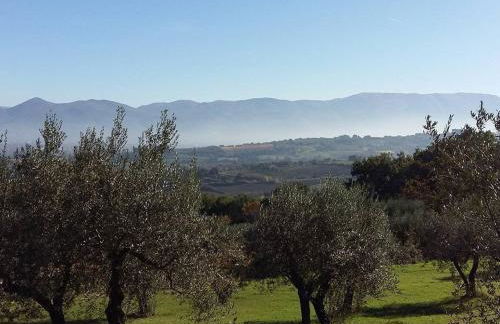 Agriturismo Etico Le Grazie - Foto 33