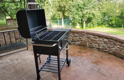 Agriturismo il Poggiarello - Foto 15