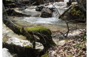 GRENOBLE SUD VARCES Suite privatisée au pied des Montagnes - Foto 50