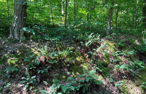 Blue Hole at Pigeon Mtn Wildlife Mgmt Area - Foto 46