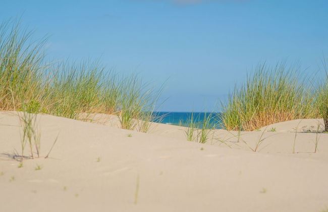 Villa Esperance - Photo 37