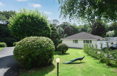 The Bungalow - Photo 27