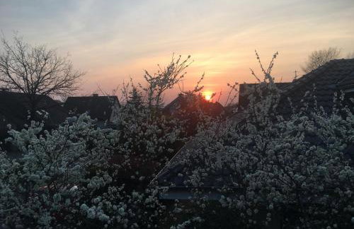 Spechtstraße 65 Ferienwohnung - Foto 17