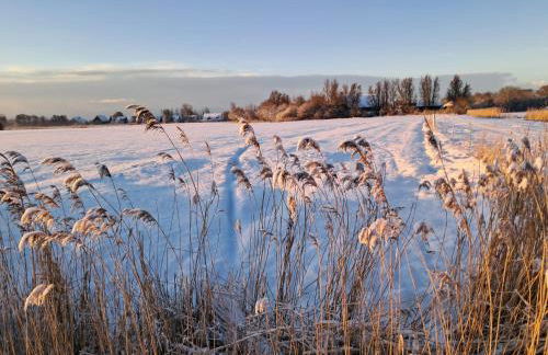 Ferienwohnung Leuchtturmblick - Foto 9