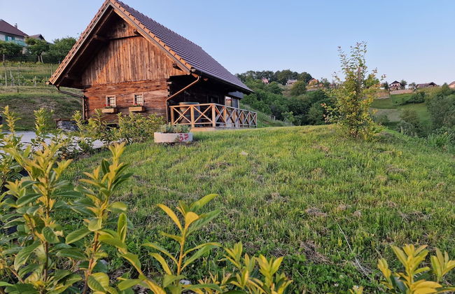 Vineyard cottage Vinska grajska kašča - Foto 38