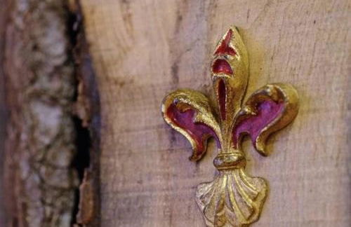 Florence Fevira Airport - Foto 22