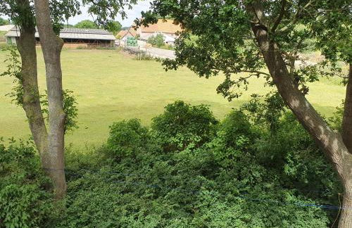 FeWo Baron - Foto 13