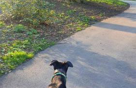 Stay at 128 - Foto 23