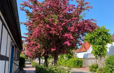 Ferienhaus Seemöwe - Foto 29