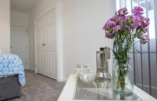 Turnstone - Photo 30