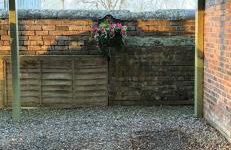 The Little Beech Tree - Photo 34