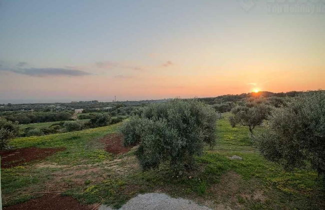 Volito House - Photo 34