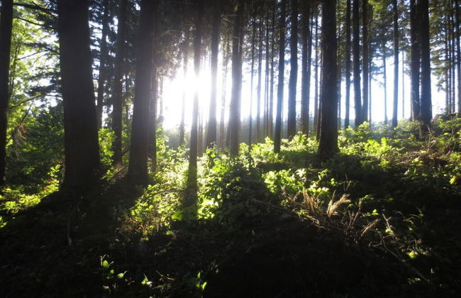 Klas Haus Eifelsonne - Foto 16