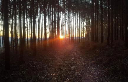 Casa rural Chapinheira - Foto 48