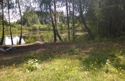 Domek Letniskowy ZŁOTY KARAŚ - Foto 23