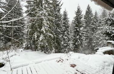 ~Chalet_Rifugio tra i boschi~ - Foto 34