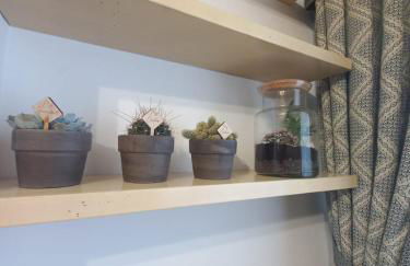 Rosa d' Inverno - Foto 13