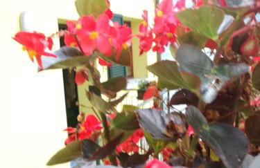 Balcone dei Limoni - Photo 15