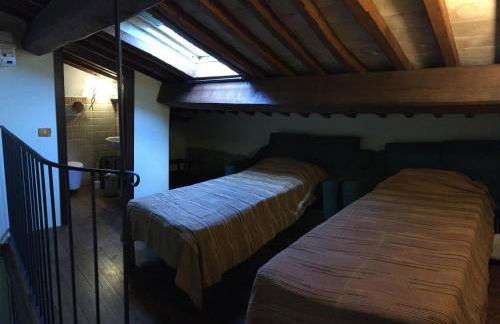 Agriturismo Terre di Musignano - Foto 13