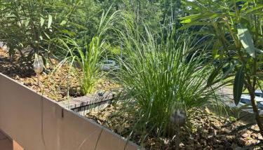 Ferienwohnung Weiss - Foto 2, Garden view