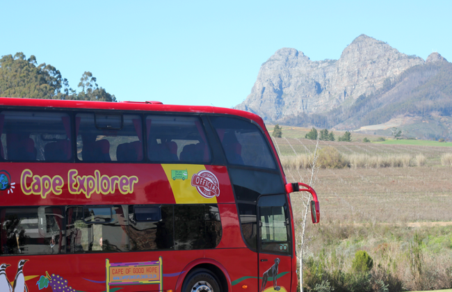 City Sightseeing Ciudad del Cabo - Tour en autobús turístico - Foto 1