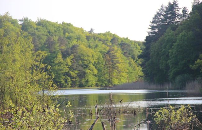 Holiday Flat in Kolczewo-70 qm for 6 Persons - Foto 10