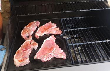 hô choucas - Foto 43