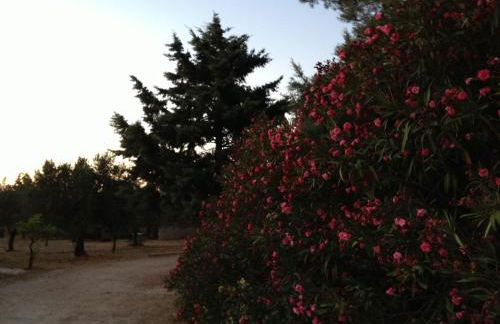 La Giara San Vito Lo Capo - Foto 32