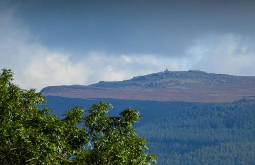 The Hayloft - Photo 16