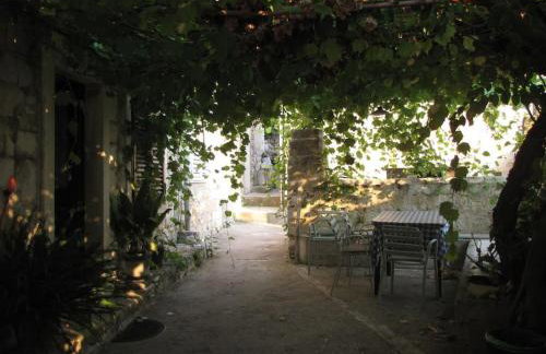 captain Ivo - Foto 8