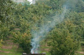 Sangrato 1883 - Foto 56