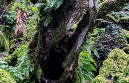 La Torre Verde - Casa vacanze - Foto 31