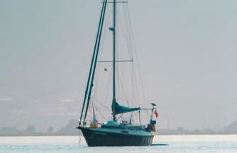 Deltafamily ¡ barbacoa,piscina, wifi Chromecast !! - Foto 44