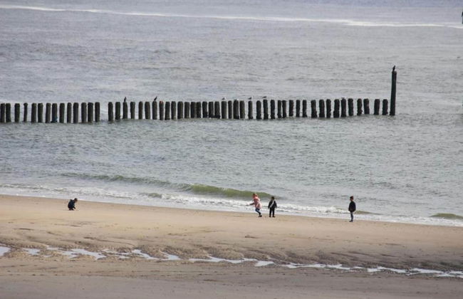 Pet-friendly Escape by the Sea - Photo 29