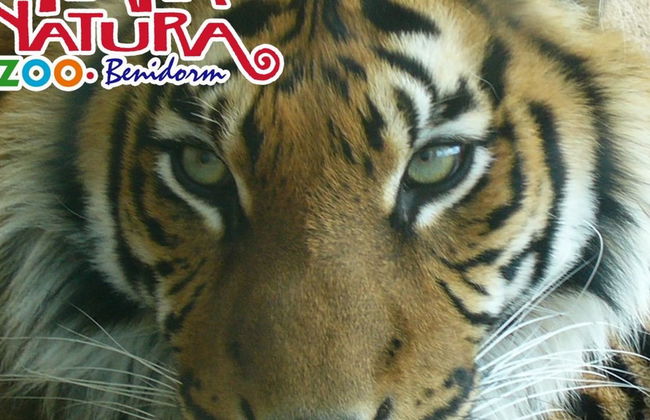 Terra Natura Benidorm - ¡¡Oferta Especial Invierno!! - Foto 10