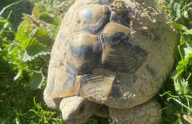 casa rural larre aundi - Foto 53