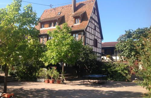 La Cour Zaepffel - Foto 1