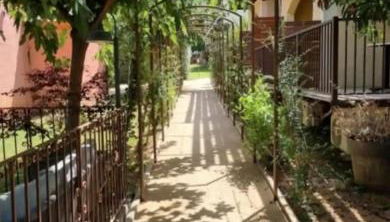 Studio dans résidence avec piscine à Sisco - Foto 3