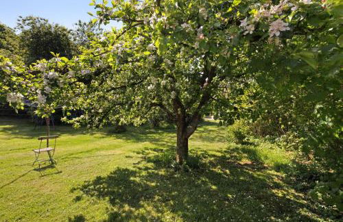 Ferienwohnungen große Albferien - Foto 7