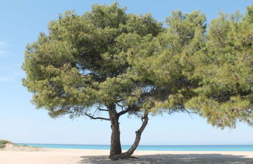 FERRUM house - Foto 19