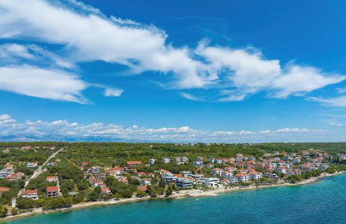 Vidalis, no 1 - Foto 38