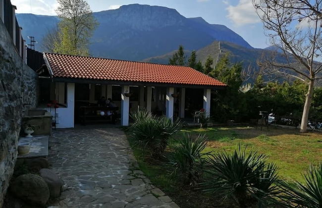 Dream House - Photo 18