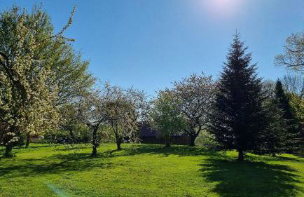 Gutshof Kämmerich - Fewo Dachshöhle - Foto 8
