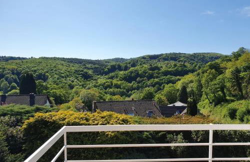 Die grüne Oase am RheinSteig 2 ZKBuWC - Foto 5