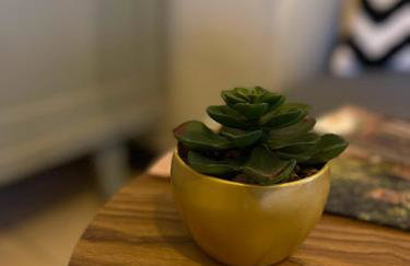 Les hyacinthes 2 - Photo 6