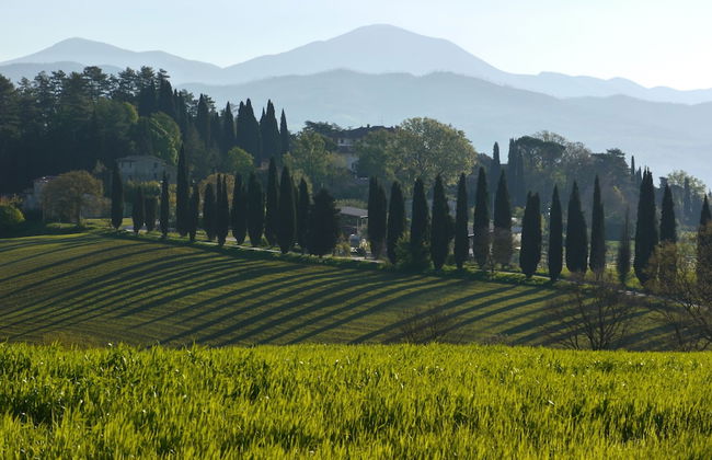 Agriturismo Kebio - Photo 33