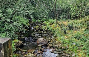 Bracken Cottage - Foto 53