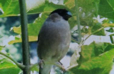 En bord de rivière - Foto 67