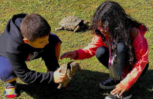 Hotel Fazenda Rancho Mineiro - Foto 80