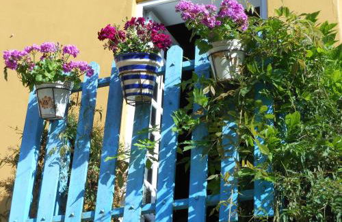 Quinta das Tamengas - Foto 34